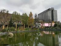 Imagine atasata: Iulius Town - 2019.11.01 - 07.jpg